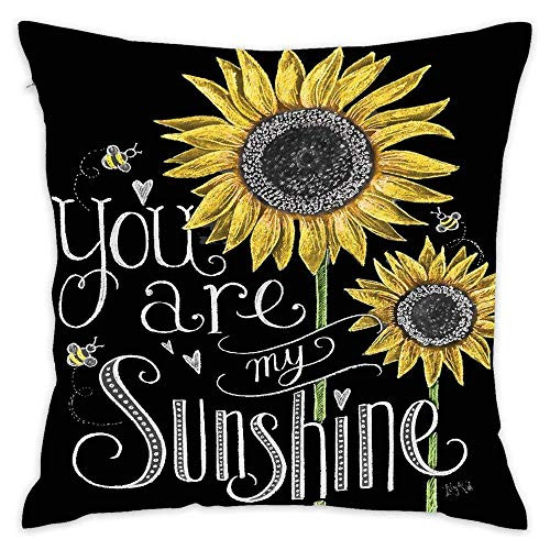 Soft Decorative Square Throw Pillow Covers  Cushion Cases Pillowcases for Sofa Bedroom Car 18 X 18 Inch No Pillow Insert Blackboard Art Sunflower You are My Sunshine 