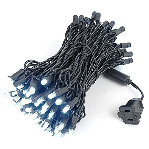 Novelty Lights 100 Light LED Christmas Mini Light Set, Outdoor Lighting Party Patio String Lights, Pure White, Black Wire, 50 Feet