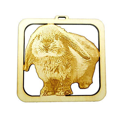 Personalized Lop Bunny Ornament - Lop Rabbit Christmas Ornament Personalized Lop Bunny Ornament - Lop Rabbit Christmas Ornament