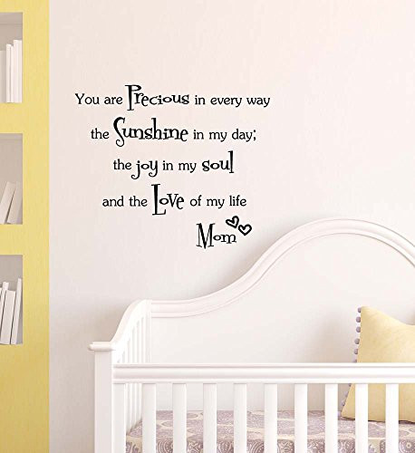 You are Precious in Every Way The Sunshine in My Day The Joy in My Soul Love Cute Wall Vinyl Decal Quote Lettering Art Saying Sticker Stencil Nursery Wall Decor