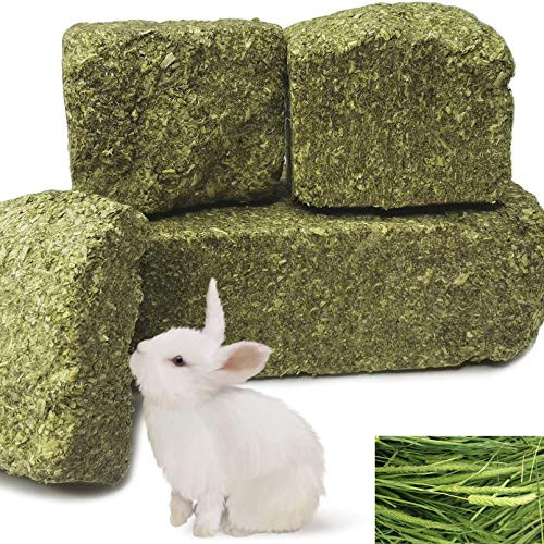 PINVNBY Bunny Timothy Chew Grass Rabbit Toys Ball Natural Hay Block Pets Teeth Grinding Molar Chewing Treats for Hamsters Guinea Pigs Chinchilla Gerbils Squirrels Playing