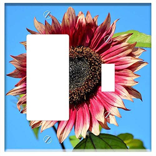 Rocker GFCI Toggle Combination Wall Plate Cover - Sun Flower Flower Flowers Blossom Bloom Summer 1 Rocker GFCI Toggle Combination Wall Plate Cover - Sun Flower Flower Flowers Blossom Bloom Summer 1