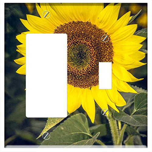 Rocker GFCI Toggle Combination Wall Plate Cover - Sun Flower Blossom Bloom Close Yellow Helianthus 6 Rocker GFCI Toggle Combination Wall Plate Cover - Sun Flower Blossom Bloom Close Yellow Helianthus 6