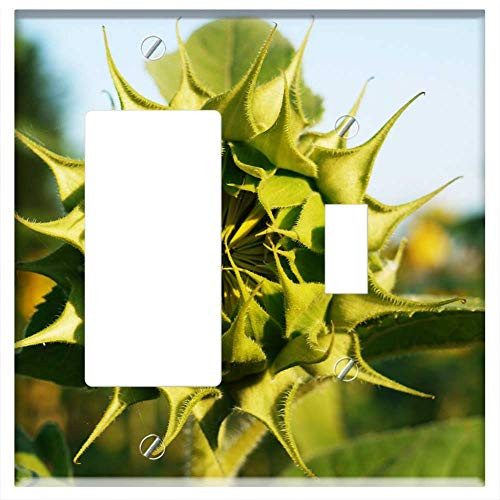 Rocker GFCI Toggle Combination Wall Plate Cover - Sun Flower Bud From The Front Sunny Summer Yellow Rocker GFCI Toggle Combination Wall Plate Cover - Sun Flower Bud From The Front Sunny Summer Yellow