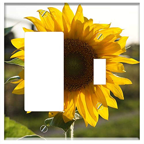 Rocker GFCI Toggle Combination Wall Plate Cover - Sun Flower Sun Yellow Blossom Bloom Nature Close Rocker GFCI Toggle Combination Wall Plate Cover - Sun Flower Sun Yellow Blossom Bloom Nature Close