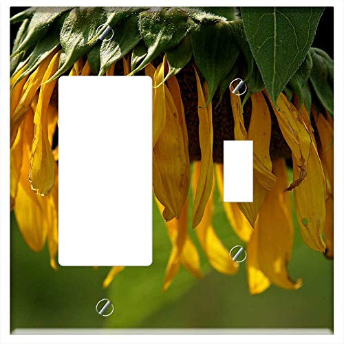 Rocker GFCI Toggle Combination Wall Plate Cover - Sun Flower Blossom Bloom Hanging Close Rocker GFCI Toggle Combination Wall Plate Cover - Sun Flower Blossom Bloom Hanging Close
