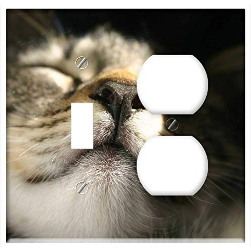2-Gang  Toggle Outlet Combination Wall Plate Cover - Cats Cat Close Up Nose Sun Pleasure Pet Feline