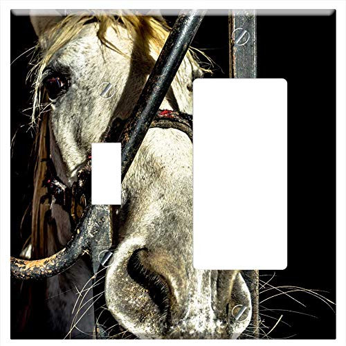 Toggle Rocker GFCI Combination Wall Plate Cover - Horse Block Animal Tame Good Docile White Rump