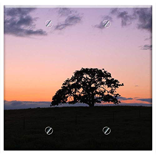 Double Blank Wall Plate Cover - Tree Oak Sunset Oak Tree Summer Landscape Sky