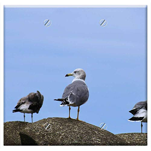 Double Blank Wall Plate Cover - Animal Sea Wave Off Block Seabird Seagull Sea Gull Double Blank Wall Plate Cover - Animal Sea Wave Off Block Seabird Seagull Sea Gull