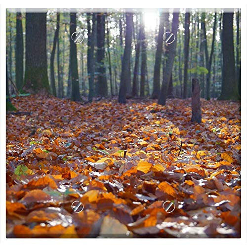 Double Blank Wall Plate Cover - Leaves Trees Forest Woods Nature Sunshine