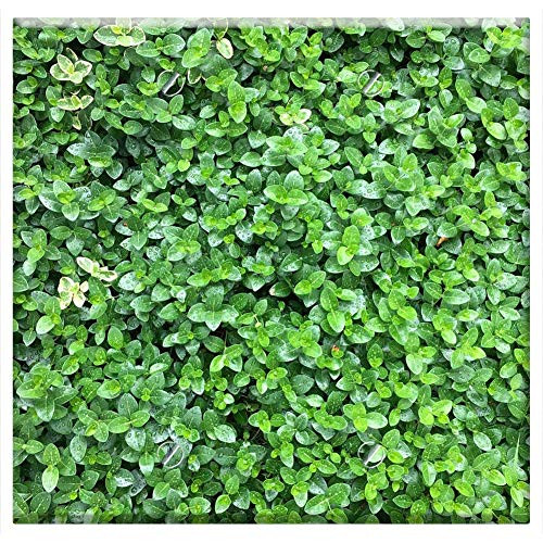 Double Blank Wall Plate Cover - Nature Instagramanet Sky Sun Summer Beautiful