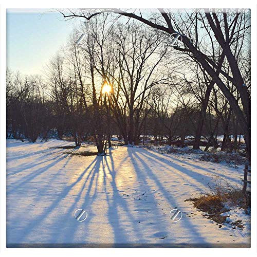 Double Blank Wall Plate Cover - Snow Park Sunset Light Shadows Winter Cold Trees