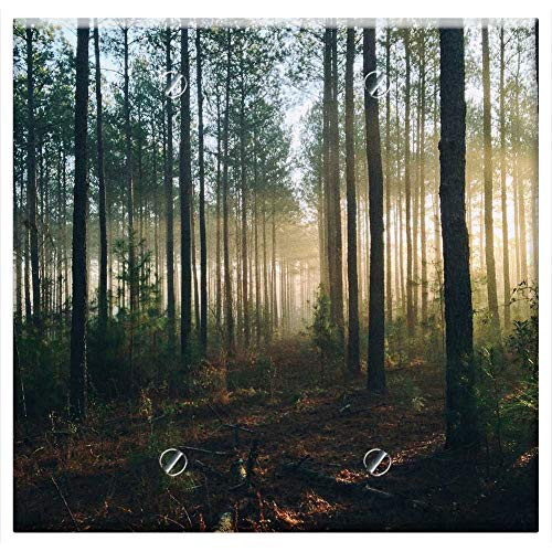 Double Blank Wall Plate Cover - Forest Trees Rays Sun Light Shining Through