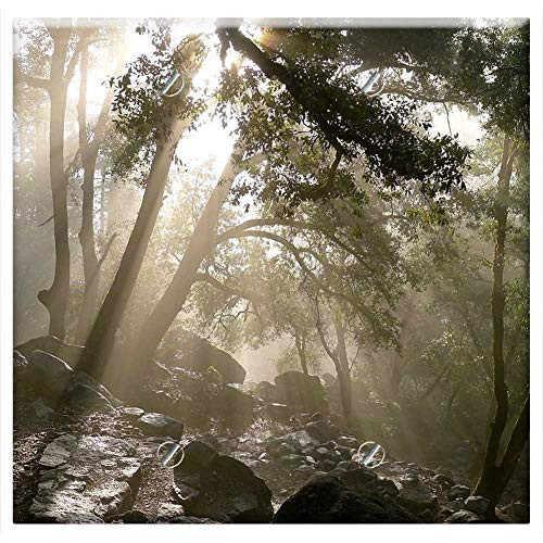 Double Blank Wall Plate Cover - Forest Nature Rocks Sunlight Trees Woods