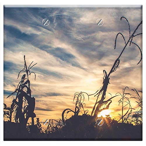 Double Blank Wall Plate Cover - Sunset Silhouette Plants Sky Clouds Nature