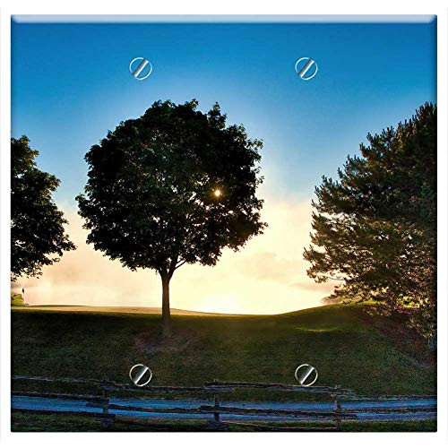 Double Blank Wall Plate Cover - Tree Nature Landscape Outdoors Panoramic Dawn Sun