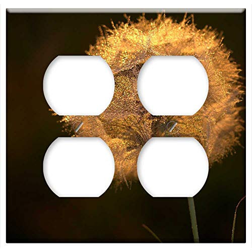Double Duplex Outlet Wall Plate Cover - Dandelion Sunset Drops Evening 2