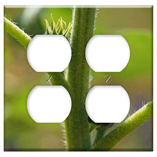 Double Duplex Outlet Wall Plate Cover - Bud Sun Flower Plant Leaves