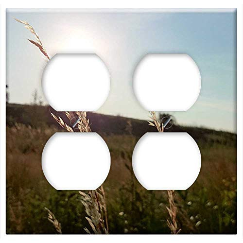 Double Duplex Outlet Wall Plate Cover - Wheat Plants Fields Sunshine Sun Rays Rural