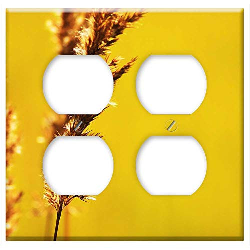 Double Duplex Outlet Wall Plate Cover - Summer Heat Handsomely Macro Grass Sun Photo 2