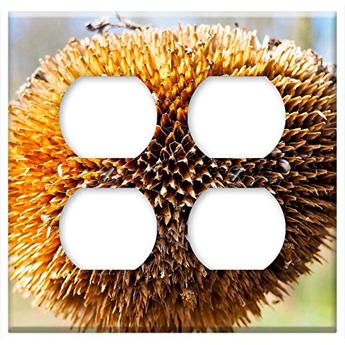 Double Duplex Outlet Wall Plate Cover - Sun Flower Plant Nature Bud Faded Withers Close