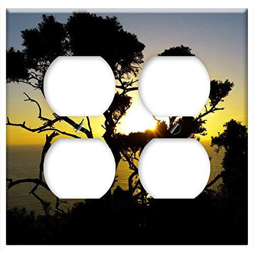 Double Duplex Outlet Wall Plate Cover - Sunset Mood Back Light Bush Atmospheric Afterglow