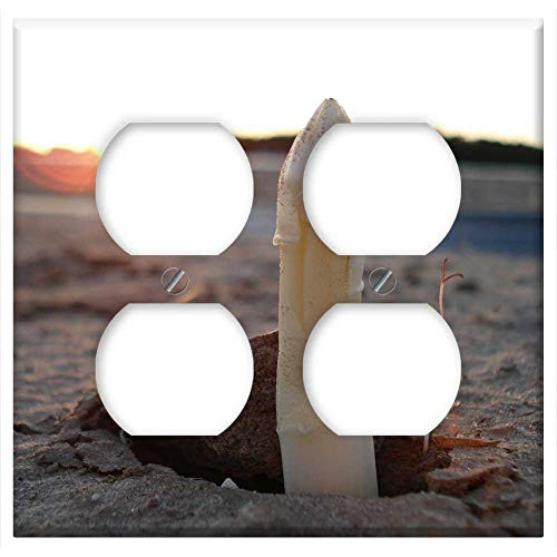 Double Duplex Outlet Wall Plate Cover - Asparagus Sunset Asparagus Field