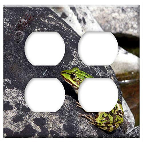 Double Duplex Outlet Wall Plate Cover - Frog Water Frog Pond Garden Stone Sun Nature