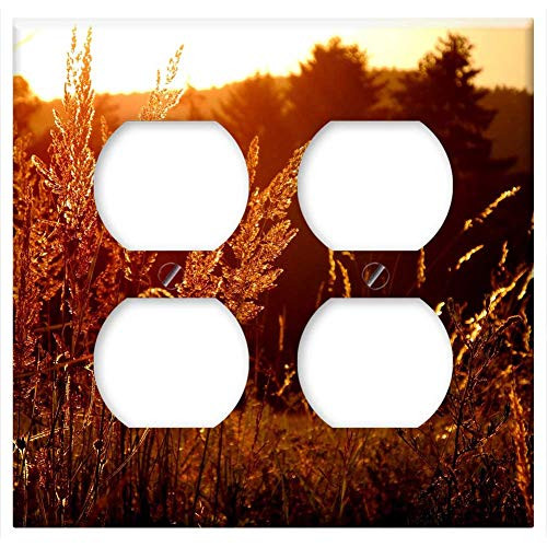 Double Duplex Outlet Wall Plate Cover - Summer Sunset Light Nature West Sun Meadow