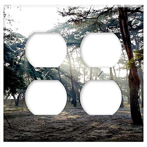 Double Duplex Outlet Wall Plate Cover - Sunshine Pine Forest Solar Sunrise