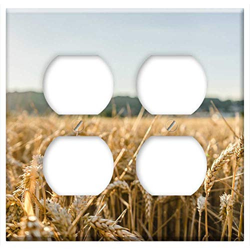 Double Duplex Outlet Wall Plate Cover - Field Sun Summer Landscape Garden Nature Fields 2