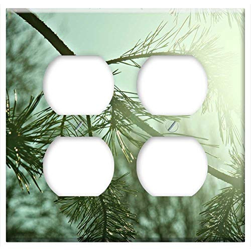 Double Duplex Outlet Wall Plate Cover - Conifer Sunshine Green Nature Forest Sun Sky