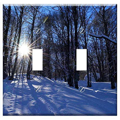 Switch Plate Double Toggle - Winter Mountain Sunshine Snow Trees Blue Forest