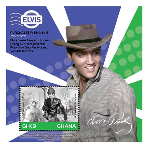 2015 Elvis Presley - Life in Stamps - Purchases Rising Sun  Collectible Souvenir Stamp  Mint Never Hinged