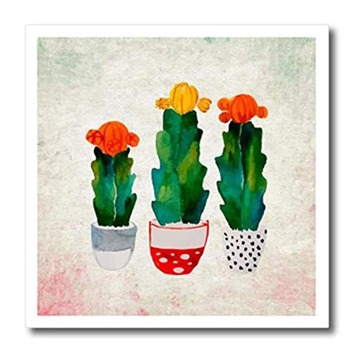 3D Rose Cactus Cacti Fun Illustration Cute Watercolor Floral Flowers Flowerpot Iron on Heat Transfer, 10 x 10, White
