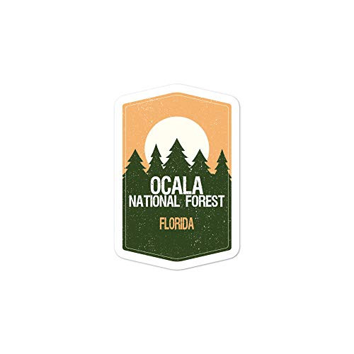 Ocala National Forest  Sunset  Vinyl Sticker Decal 3   to 5.5