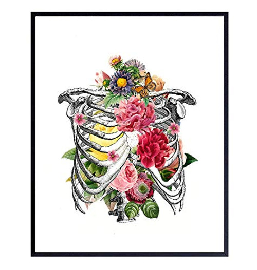 Vintage Anatomy Art Print - 8x10 Shabby Chic Floral Ribcage Poster - Home Decoration  Wall or Room Decor for Medical Clinic or Doctor Office - Unique Gift for Nurse  Physician  Dr  PA  Med Student