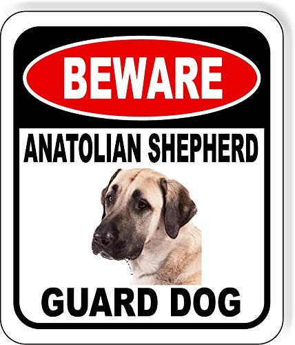 Beware Anatolian Shepherd Guard Dog Aluminum Composite Outdoor Sign 8.5 inch x10 inch