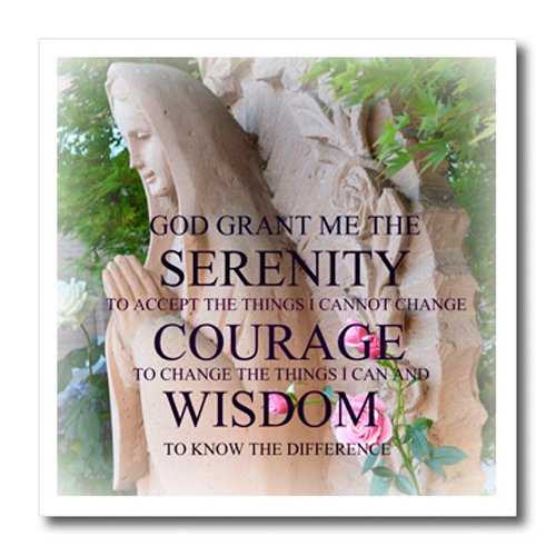 3dRose ht_39386_3 Serenity Prayer Roses Inspirational Photography Spirituality Iron on Heat Transfer for White Material, 10 by 10-Inch