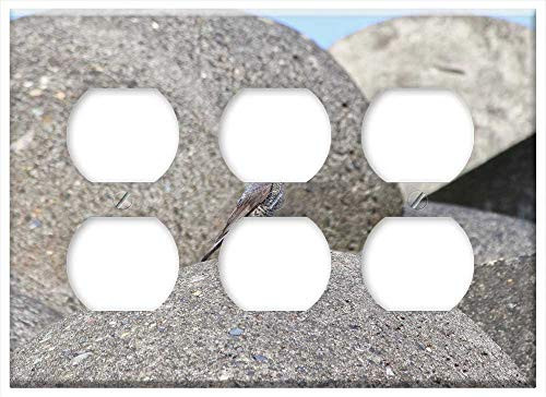 Triple Duplex Outlet Wall Plate Cover - Animal Beach Wave Off Block Little Bird 1 Triple Duplex Outlet Wall Plate Cover - Animal Beach Wave Off Block Little Bird 1
