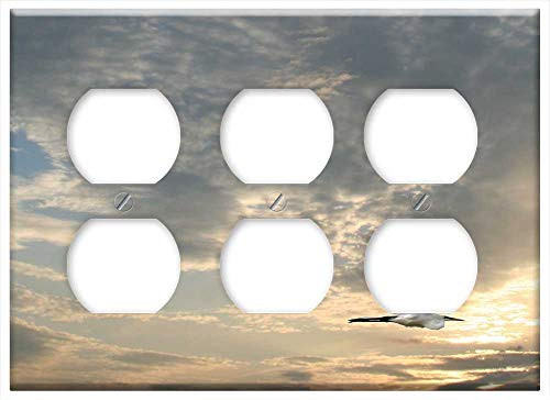 Triple Duplex Outlet Wall Plate Cover - Bird Birds Flying Wildlife Animal Sunset