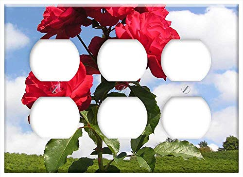 Triple Duplex Outlet Wall Plate Cover - Summer Sunny Sun Flower Public Record Flora