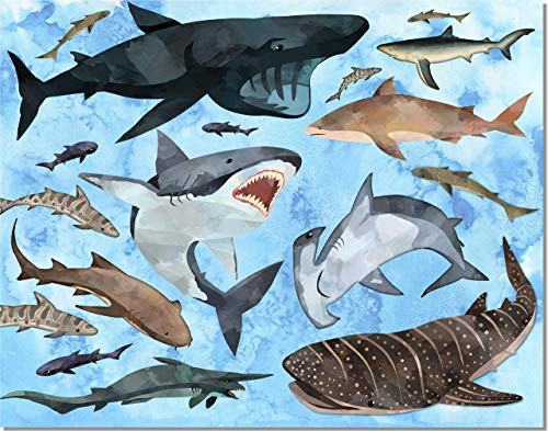 Shark Decor Wall Art - Kids Bedroom Bathroom Print - 11x14 - Unframed