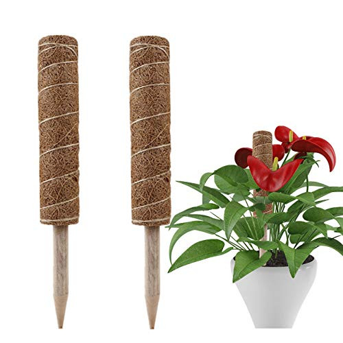 Okngr Coir Moss Pole  Plant Support Totem Pole 2pcs Coir Totem Plant Support for Plant Support Extension  Climbing Indoor Plants  Creepers