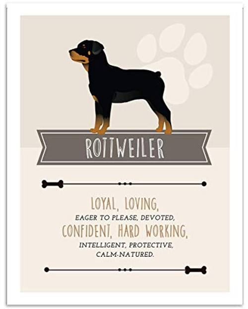 Rottweiler Dog Wall Art - 11x14 Unframed Decor Print - Makes a Great Gift Under 15 for Dog  and  Pet Animal Lovers