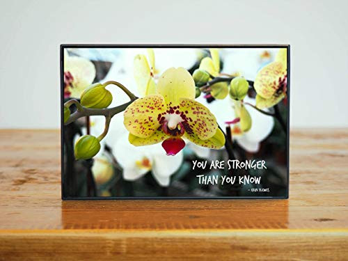 You Are Stronger Than You Know Inspirational Framed Artwork Nature Gift for Women