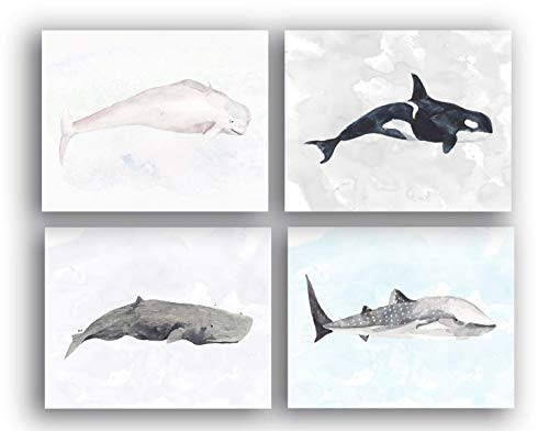 Whale Nursery Decor UNFRAMED 8 X 10 Wall Art Prints  Boys Room Bathroom Nautical Decor Beluga - Orca whales