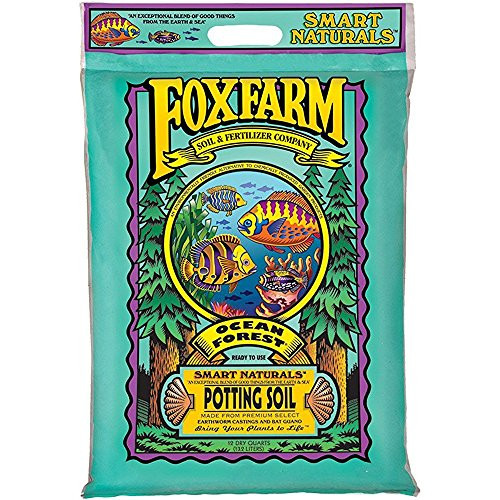 FoxFarm FX14053 12-Quart Ocean Forest Organic Potting Soil