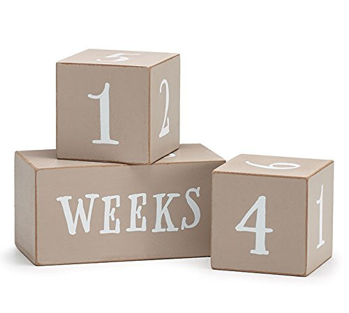 Burton  and  Burton Decor Wood Milestone Block Set